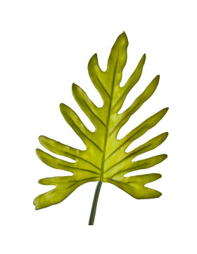 Blatt Fingerus Stiel-Kunstpflanze 29x20-78cm grün