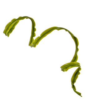 Girlande Kunstpflanze -Sling- 100cm hell-grün