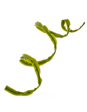 Kunstpflanze Sling-Floral Kunststoff 100x1,5x0,2cm grün