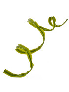 Kunstpflanze Sling-Floral Kunststoff 100x1,5x0,2cm gr&uuml;n