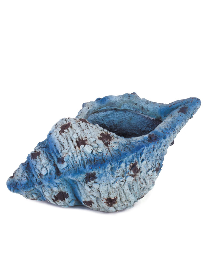 Deko-Objekt Muschel Clayfibre € 19x45x26cm 49,95 blau,