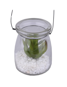 Kunstpflanze -Sukkulente Glashänger- 7cm grün
