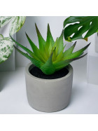 Kunstpflanze -Sukkulente- Betontopf 13x8cm gr&uuml;n
