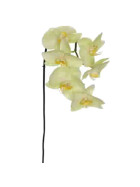 Kunstblume -Orchidee Phalaenopsis- Stiel 87cm gr&uuml;n