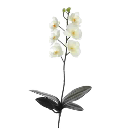 Stiel -Orchid W4- Kunstblume 47cm creme