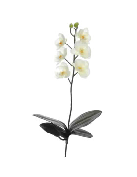 Kunstblume -Orchidee- Stiel 47cm creme