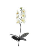 Stiel -Orchid W4- Kunstblume 47cm creme