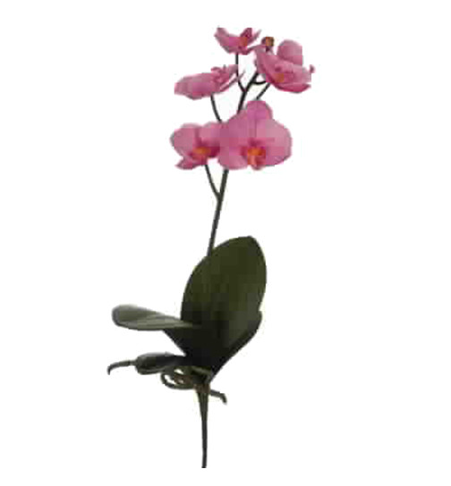 Stiel -Orchid W4- Kunstblume 47cm lavender