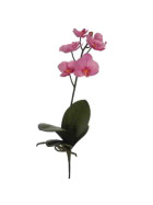 Kunstblume -Orchidee- Stiel 47cm lavender