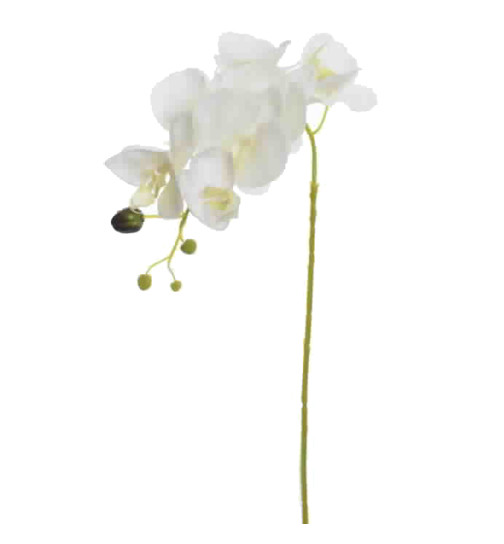 Kunstblume -Orchidee- Stiel 80cm creme