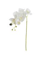 Stiel -Orchid W7- Kunstblume 80cm creme