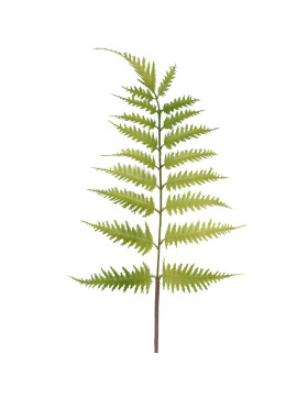 Stiel -Farn- Kunstblume 67cm grün