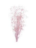 Bund -Massasa- Trockenblumen 55cm rosa