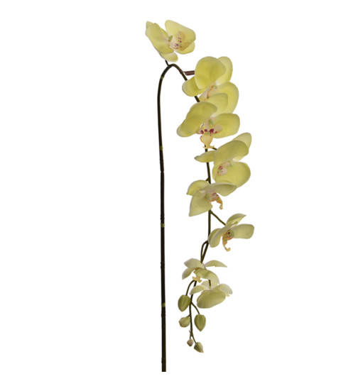Kunstblume -Orchidee- Stiel 140cm gr&uuml;n