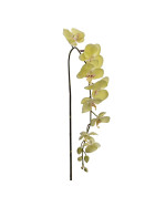 Kunstblume -Orchidee- Stiel 140cm gr&uuml;n