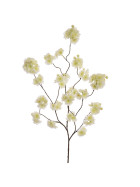 Kunstblume -Large Blossom- Stiel 115cm creme