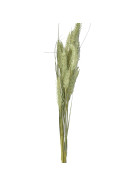 Kunstblume -Wild Barley- Stiel 71cm gr&uuml;n