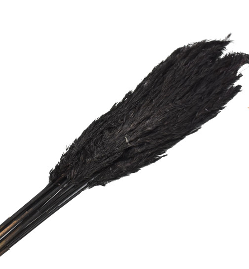 Bund -Wild Reed Plume- Pampas Trockenblumen 75cm schwarz