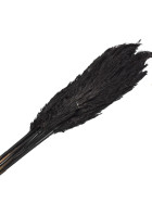 Bund -Wild Reed Plume- Pampas Trockenblumen 75cm schwarz