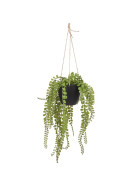 Kunstpflanze H&auml;ngend 65cm gr&uuml;n
